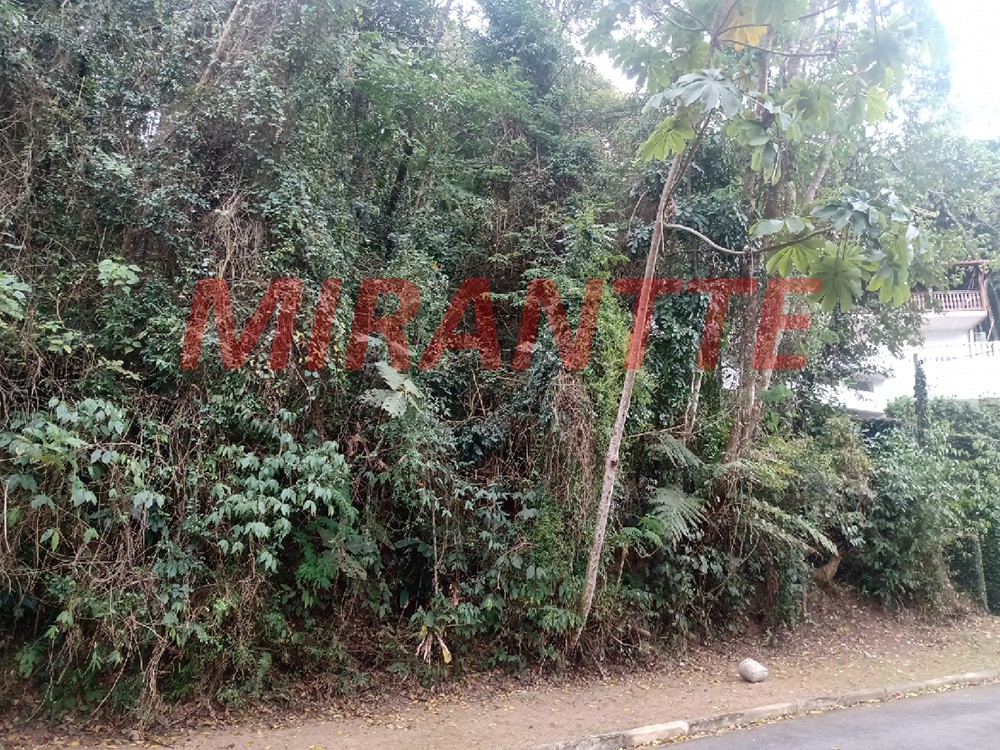 Terreno de 1220m² em Serra Da Cantareira