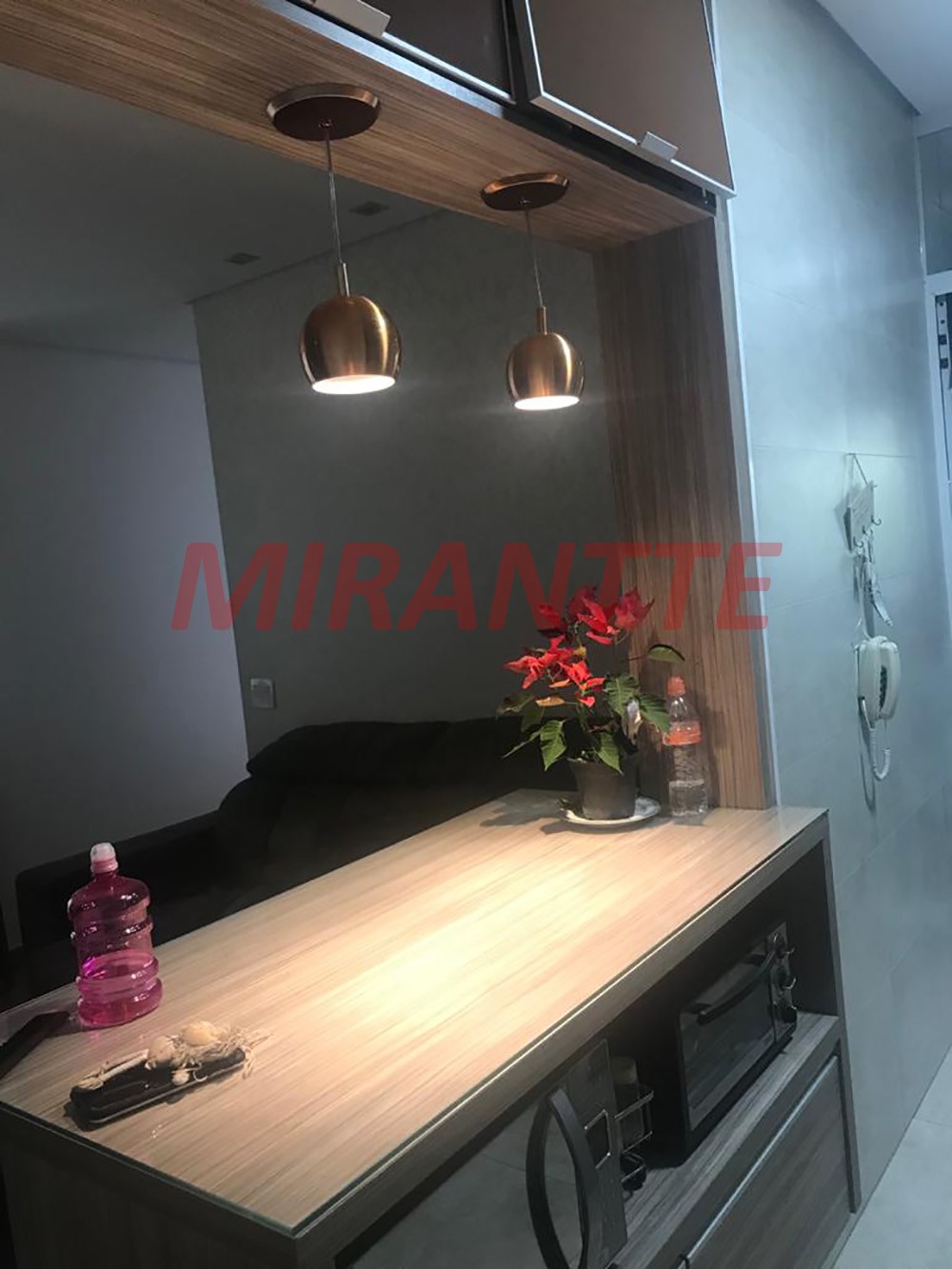 Apartamento de 49m² com 2 quartos em Vila Guilherme