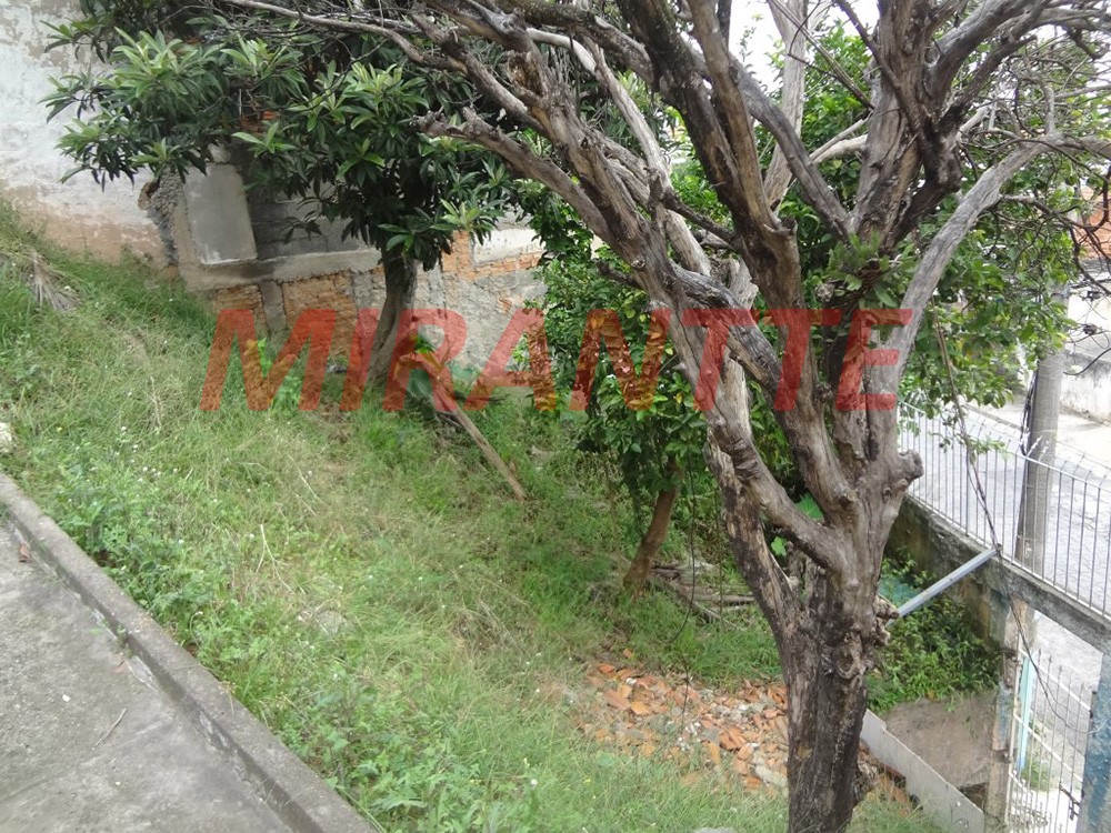 Terreno de 257m² em Vila Nova Mazzei