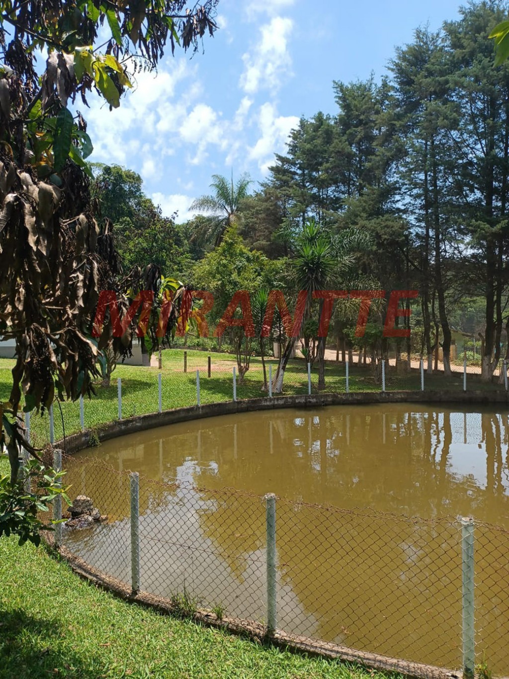 ChÁcara de 2000m² com 8 quartos em Pirucaia