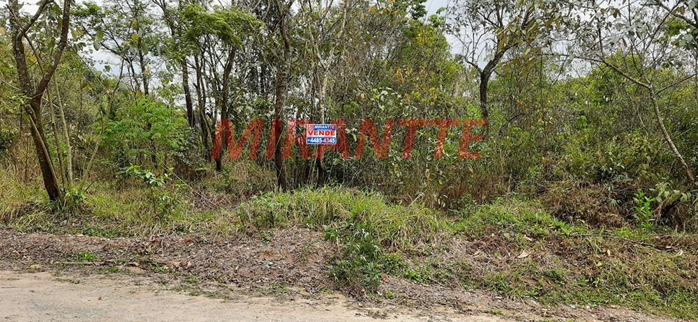 Terreno de 1160m² em RIO ACIMA