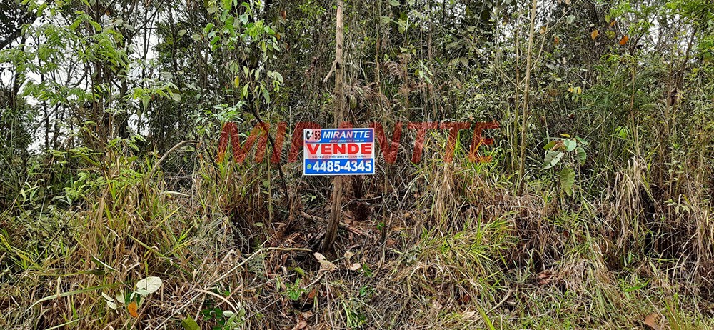 Terreno de 1000m² em RIO ACIMA