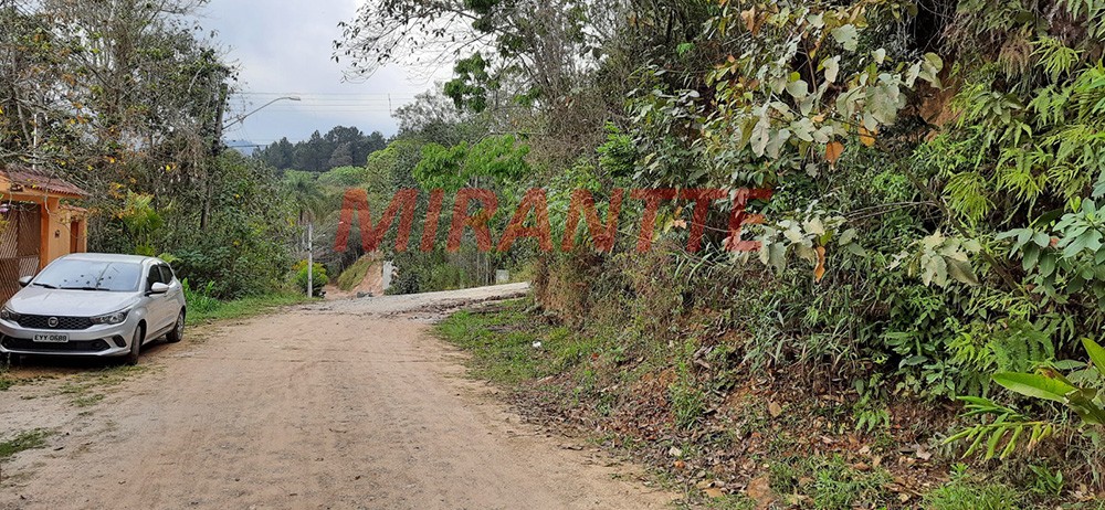 Terreno de 1000m² em RIO ACIMA