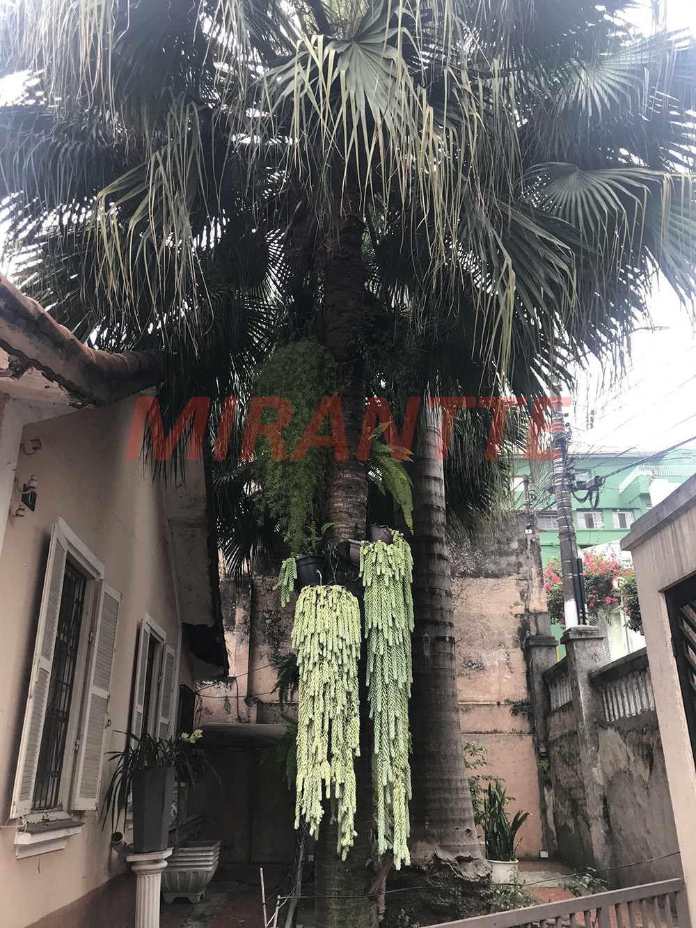 Sobrado de 514m² com 4 quartos em Santa Teresinha