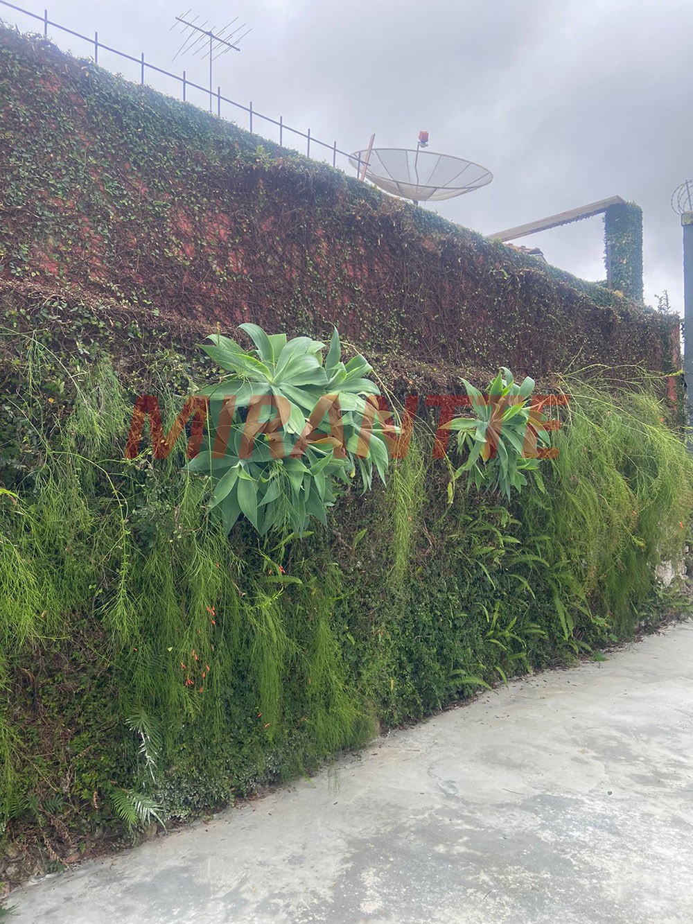 Casa terrea de 150m² com 3 quartos em Vila Albertina