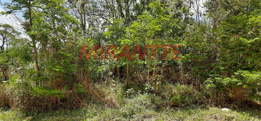 Terreno de 1000m² em RIO ACIMA