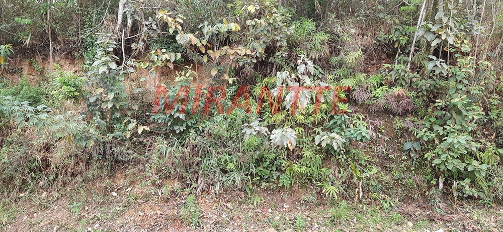 Terreno de 1500m² em RIO ACIMA