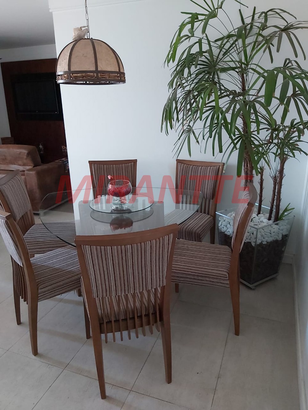 Apartamento de 72m² com 3 quartos em Parada Inglesa