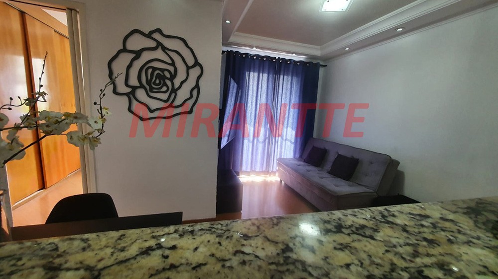 Apartamento de 48m² com 2 quartos em Vila Amelia