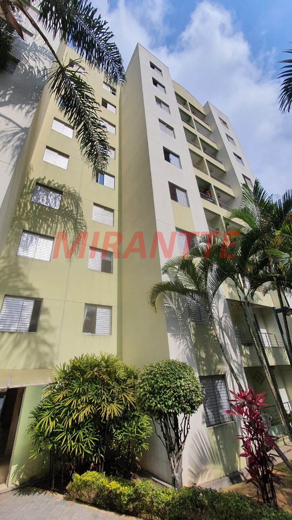 Apartamento de 48m² com 2 quartos em Vila Amelia