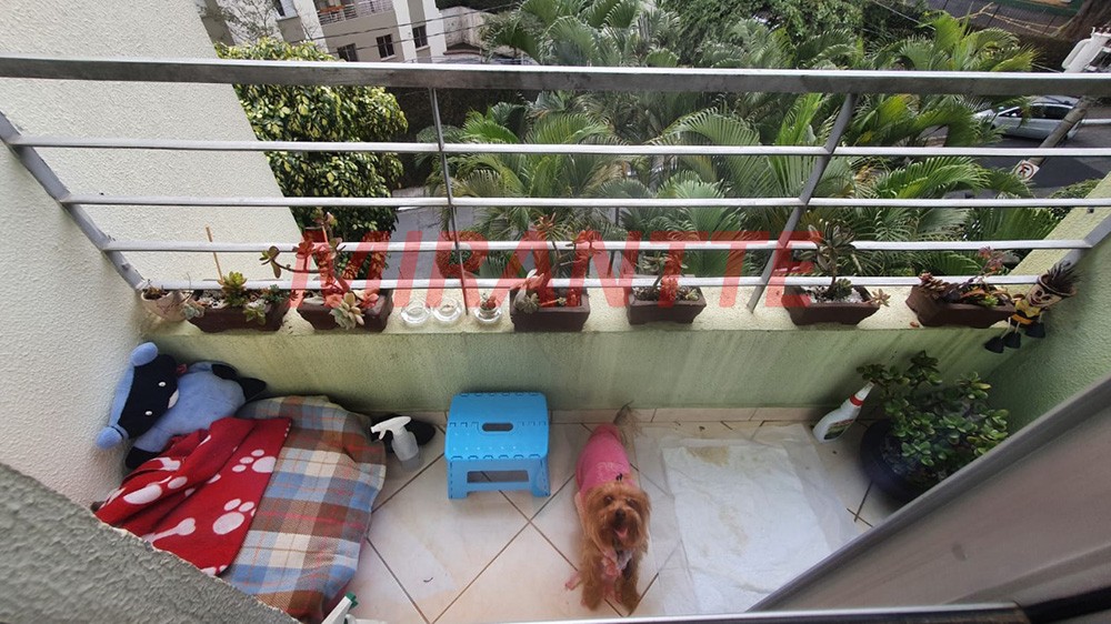 Apartamento de 48m² com 2 quartos em Vila Amelia