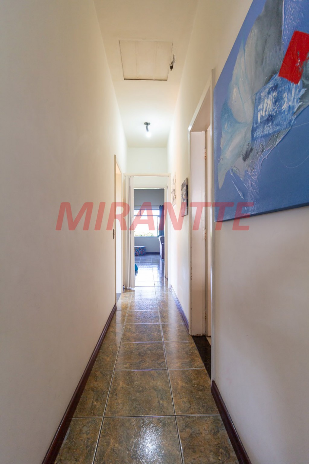 Casa terrea de 300m² com 3 quartos em Vila Sonia
