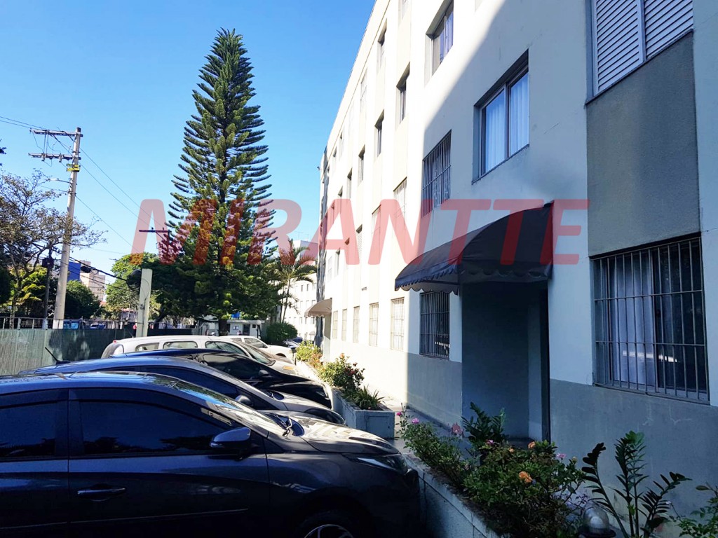 Apartamento de 58m² com 2 quartos em Vila Amelia