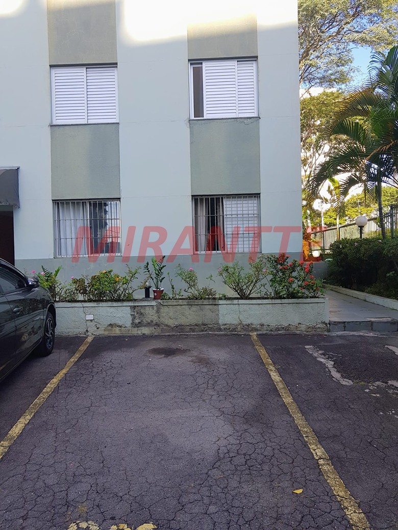 Apartamento de 58m² com 2 quartos em Vila Amelia