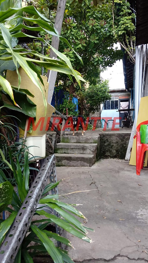 Comercial em Vila Nova Cachoeirinha