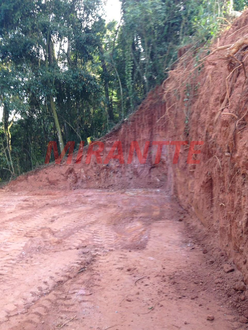 Terreno de 1094m² em Serra da Cantareira