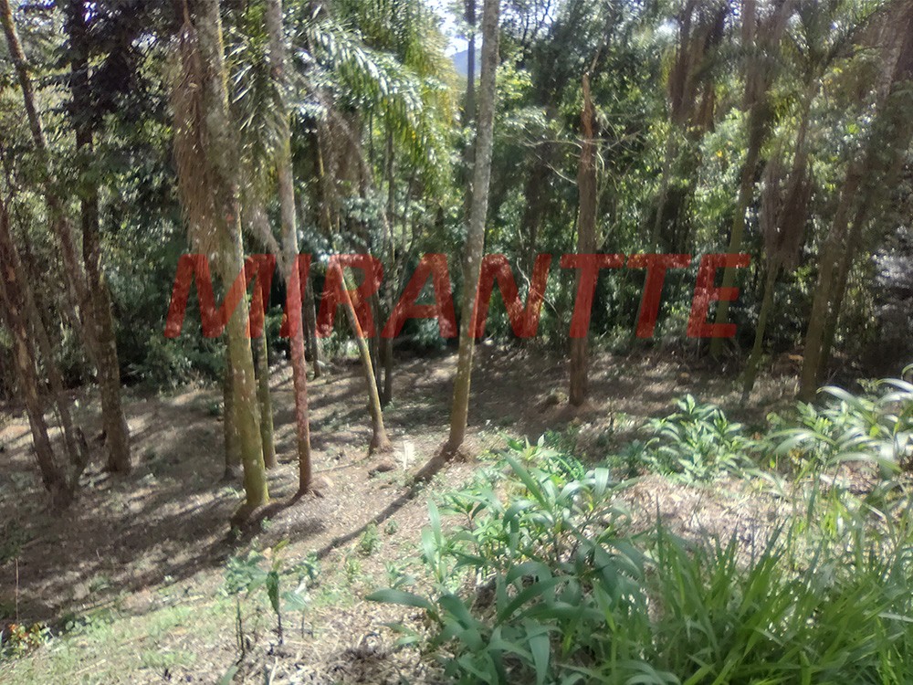 Terreno de 1622m² em Serra da Cantareira
