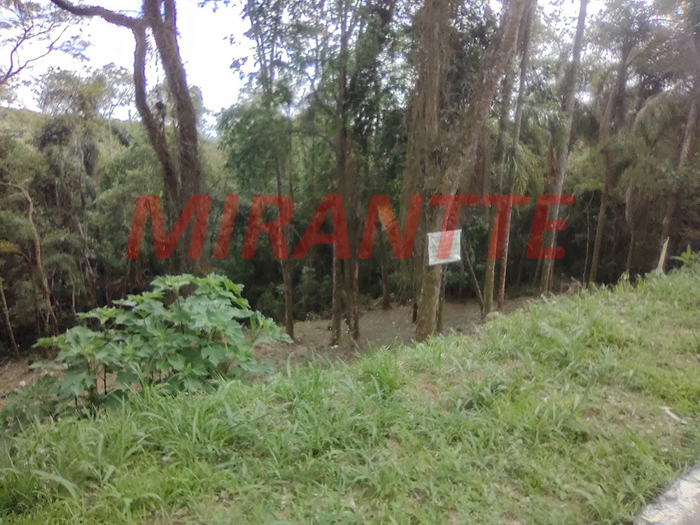 Terreno de 1622m² em Serra da Cantareira