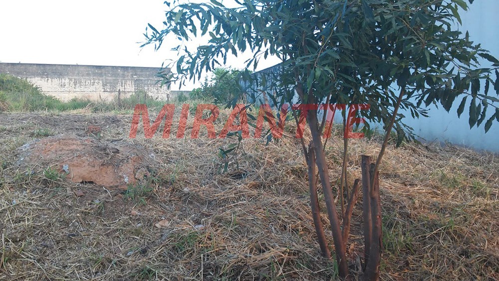 Terreno de 552m² em Vila Rosaria