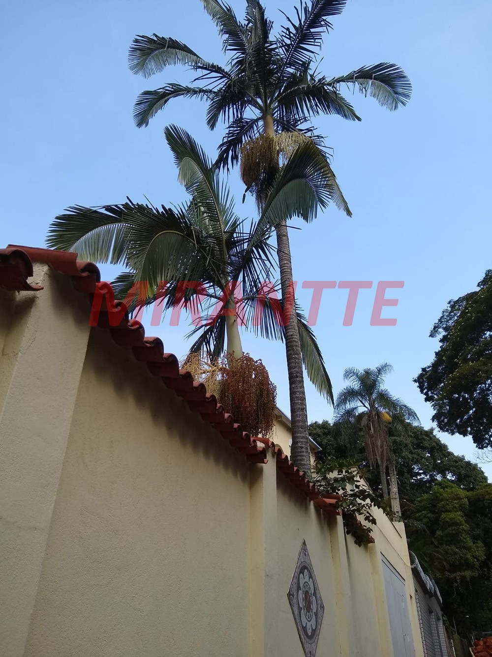 Sobrado de 550m² com 6 quartos em Jardim Floresta