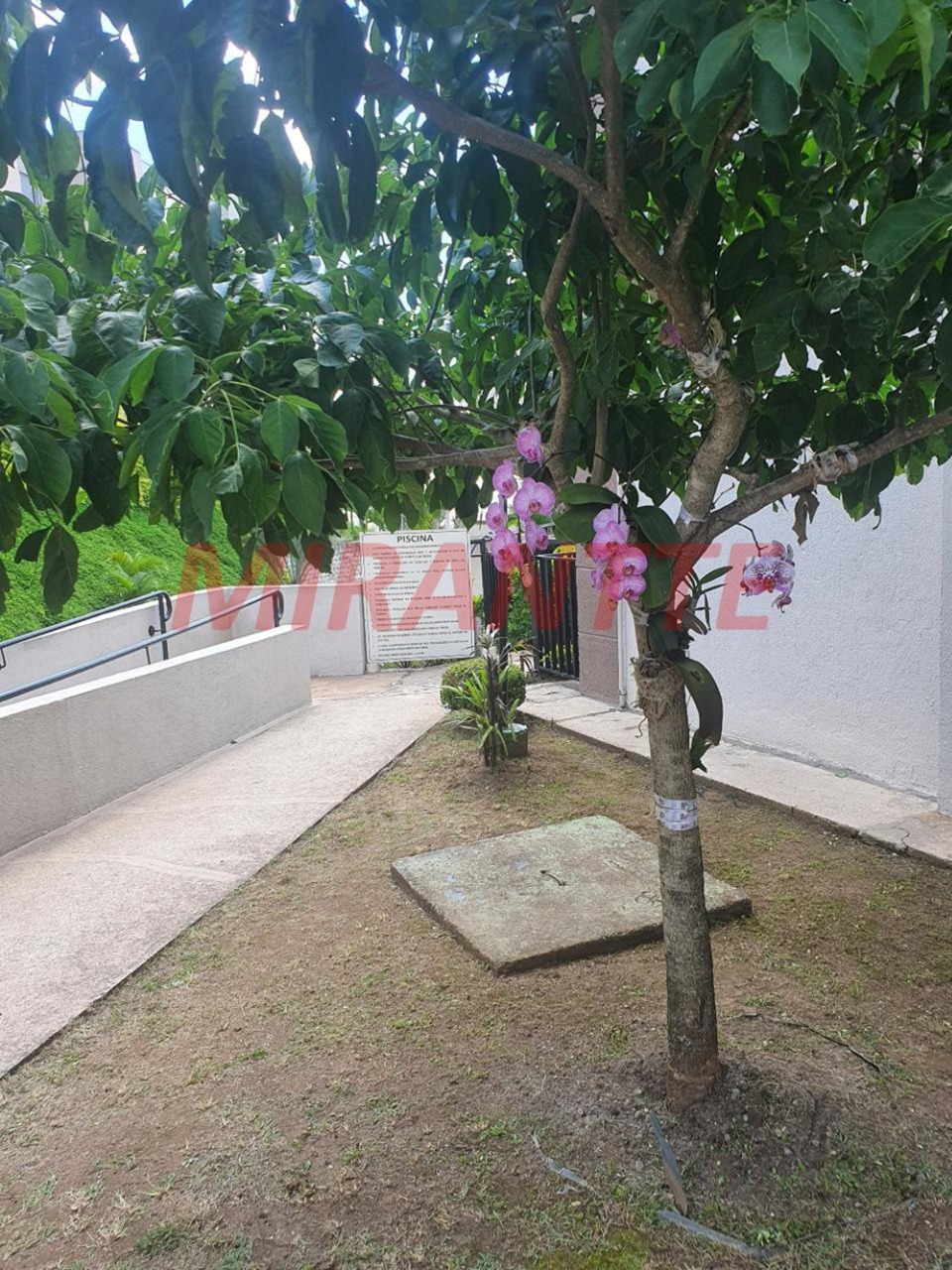 Cobertura com 2 quartos em Jaraguá