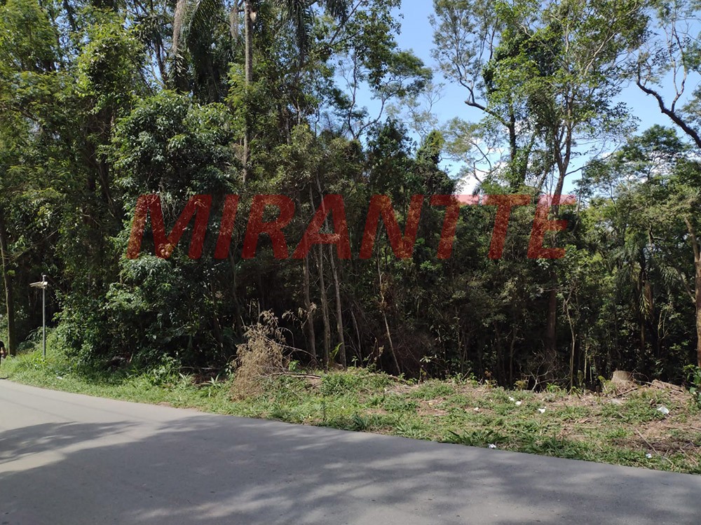 Terreno de 1535m² em Serra da Cantareira