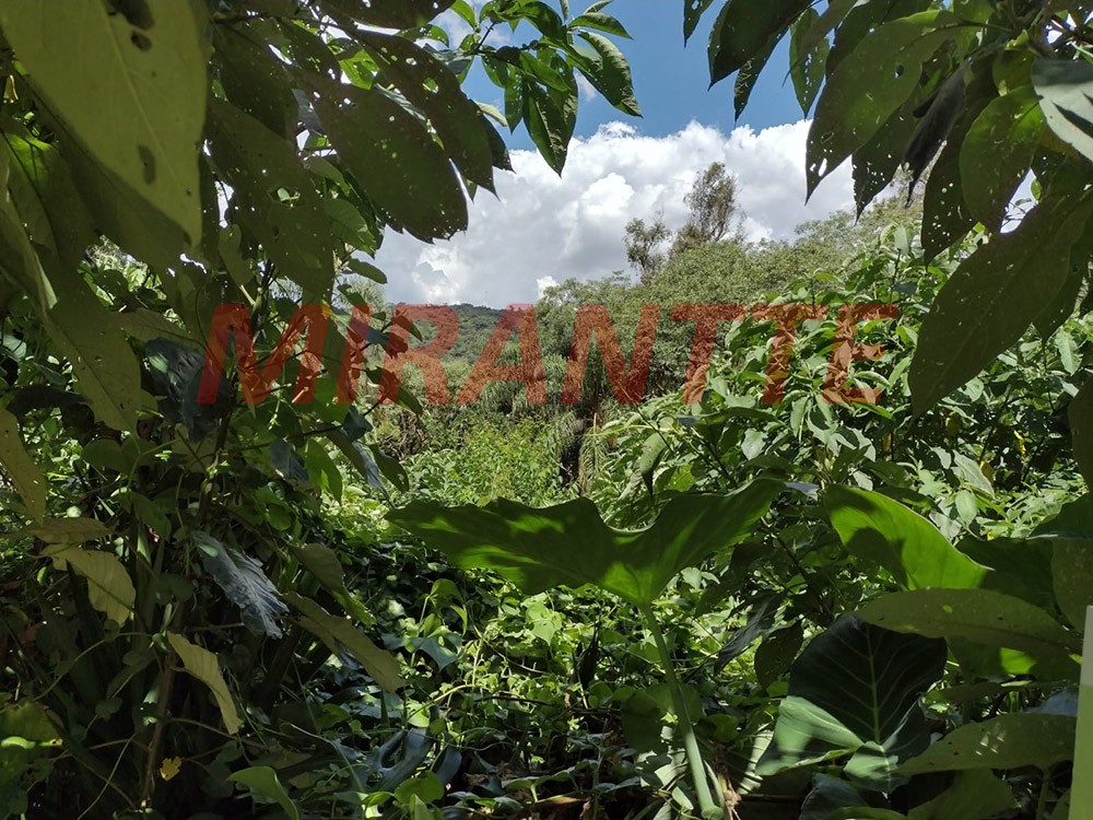 Terreno de 1000m² em Serra da Cantareira