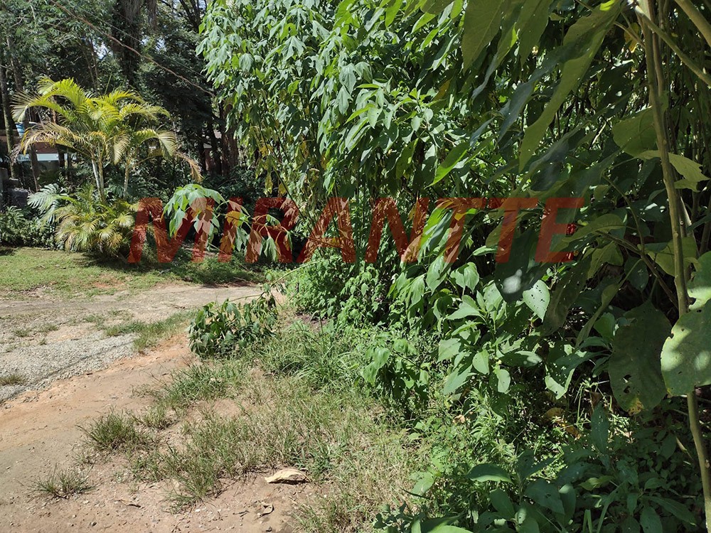 Terreno de 1000m² em Serra da Cantareira