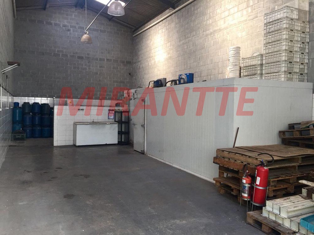 Comercial em Vila Romana