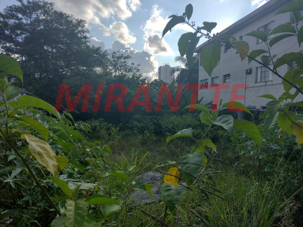 Terreno de 625m² em Parada Inglesa