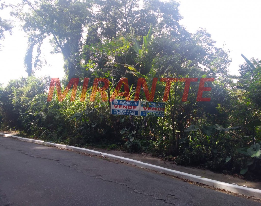 Terreno de 1000m² em Jardim Virginia Bianca