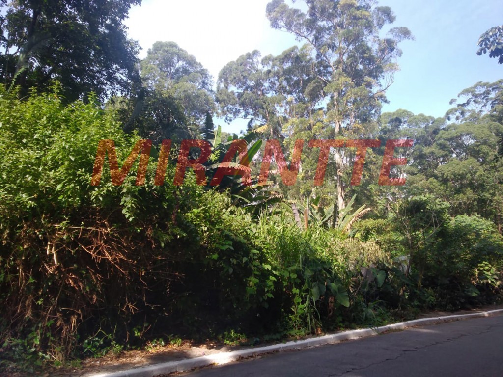 Terreno de 500m² em Jardim Virginia Bianca