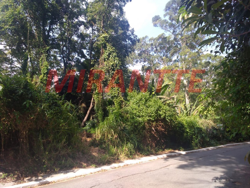 Terreno de 500m² em Jardim Virginia Bianca