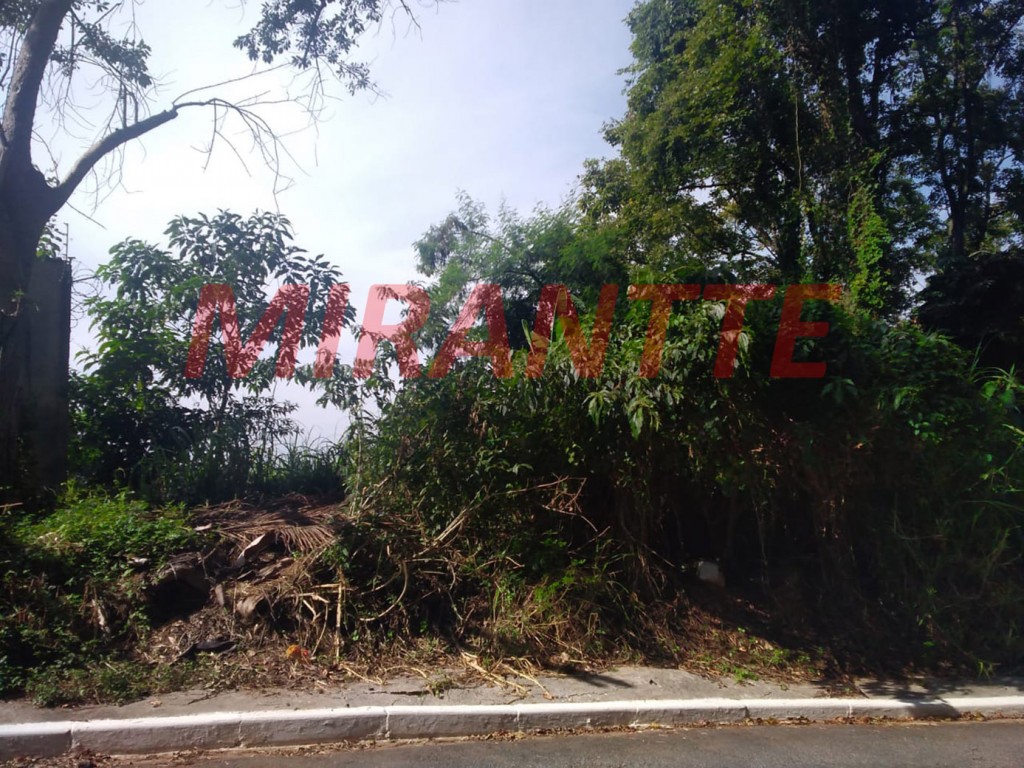Terreno de 500m² em Jardim Virginia Bianca
