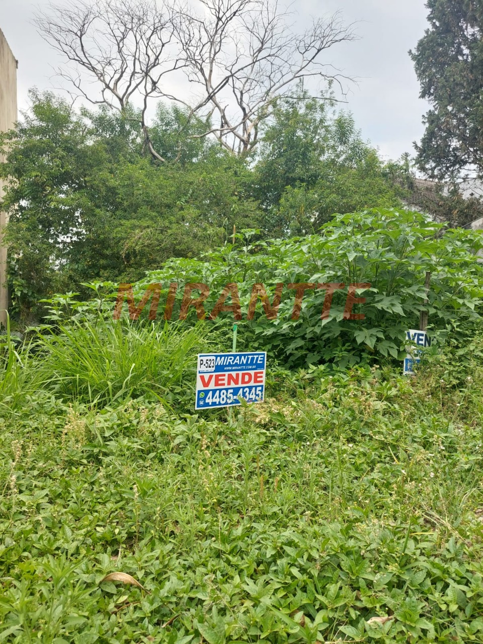 Terreno de 394m² em Jardim Daysy