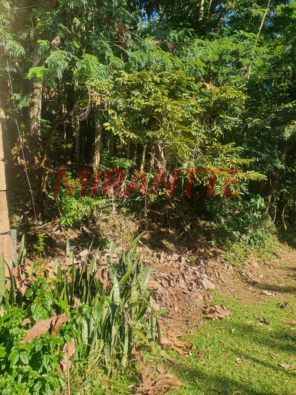 Terreno de 1477m² em Serra da Cantareira