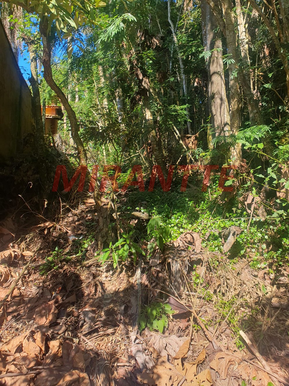 Terreno de 1477m² em Serra da Cantareira