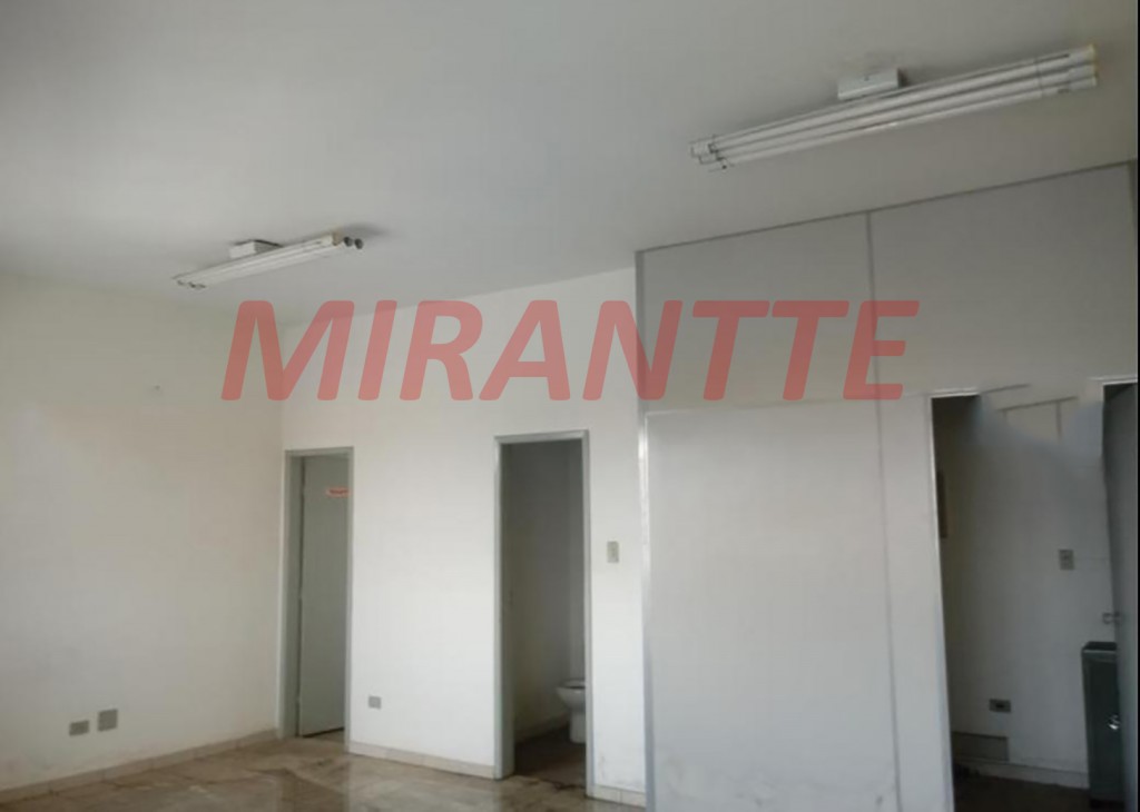 Galpao em Vila Celeste