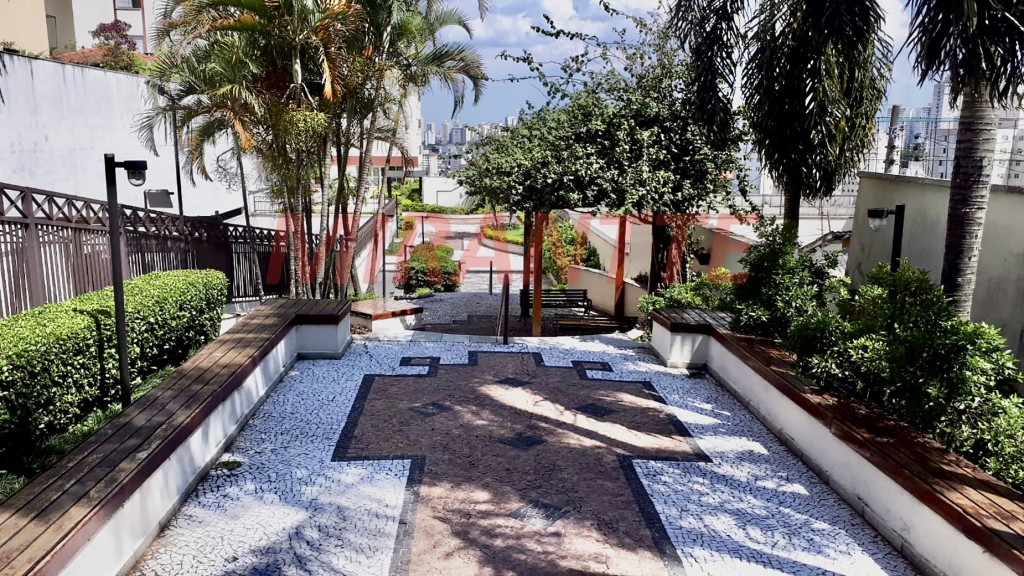 Apartamento com 3 quartos em Horto Florestal