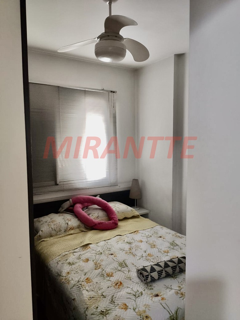 Apartamento com 3 quartos em Horto Florestal