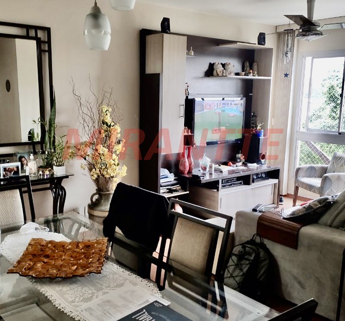 Apartamento com 3 quartos em Horto Florestal