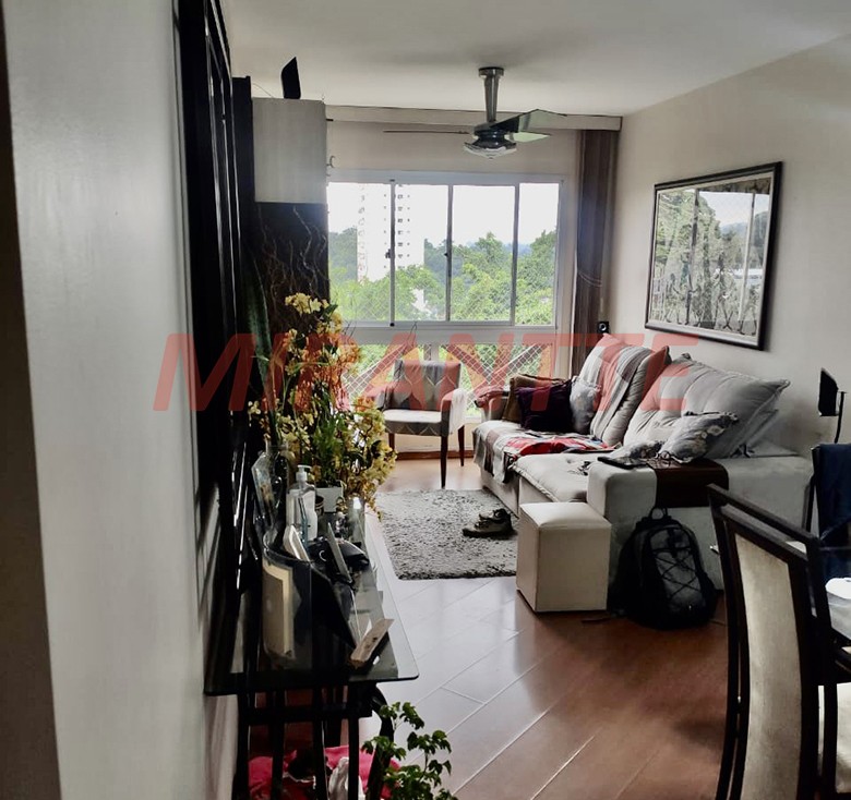 Apartamento com 3 quartos em Horto Florestal