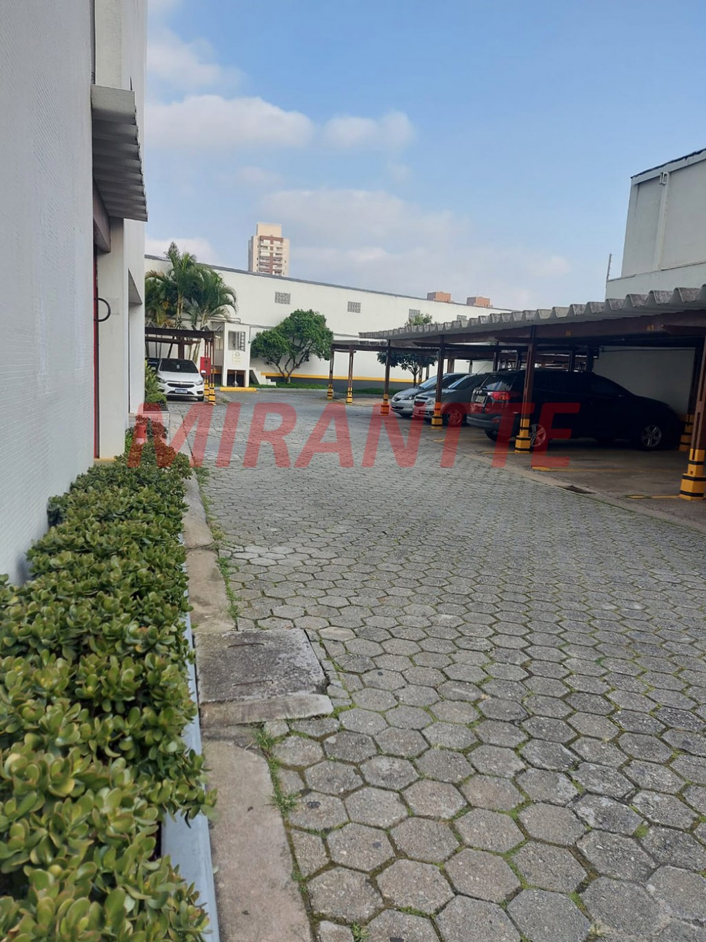 Apartamento de 80m² com 3 quartos em Vila Guilherme