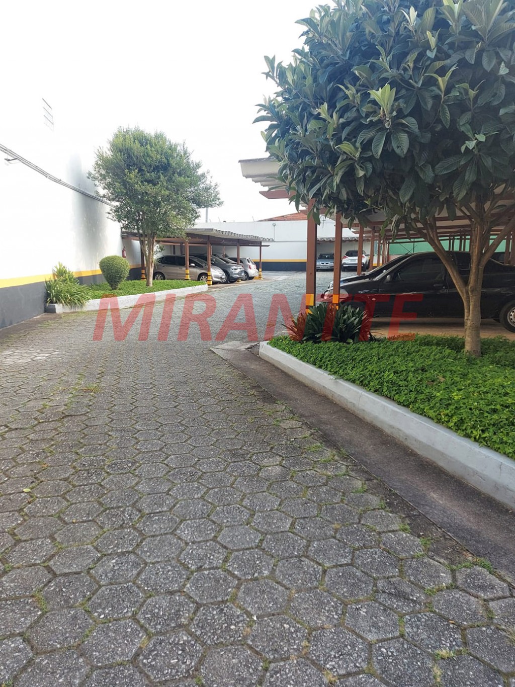 Apartamento de 80m² com 3 quartos em Vila Guilherme