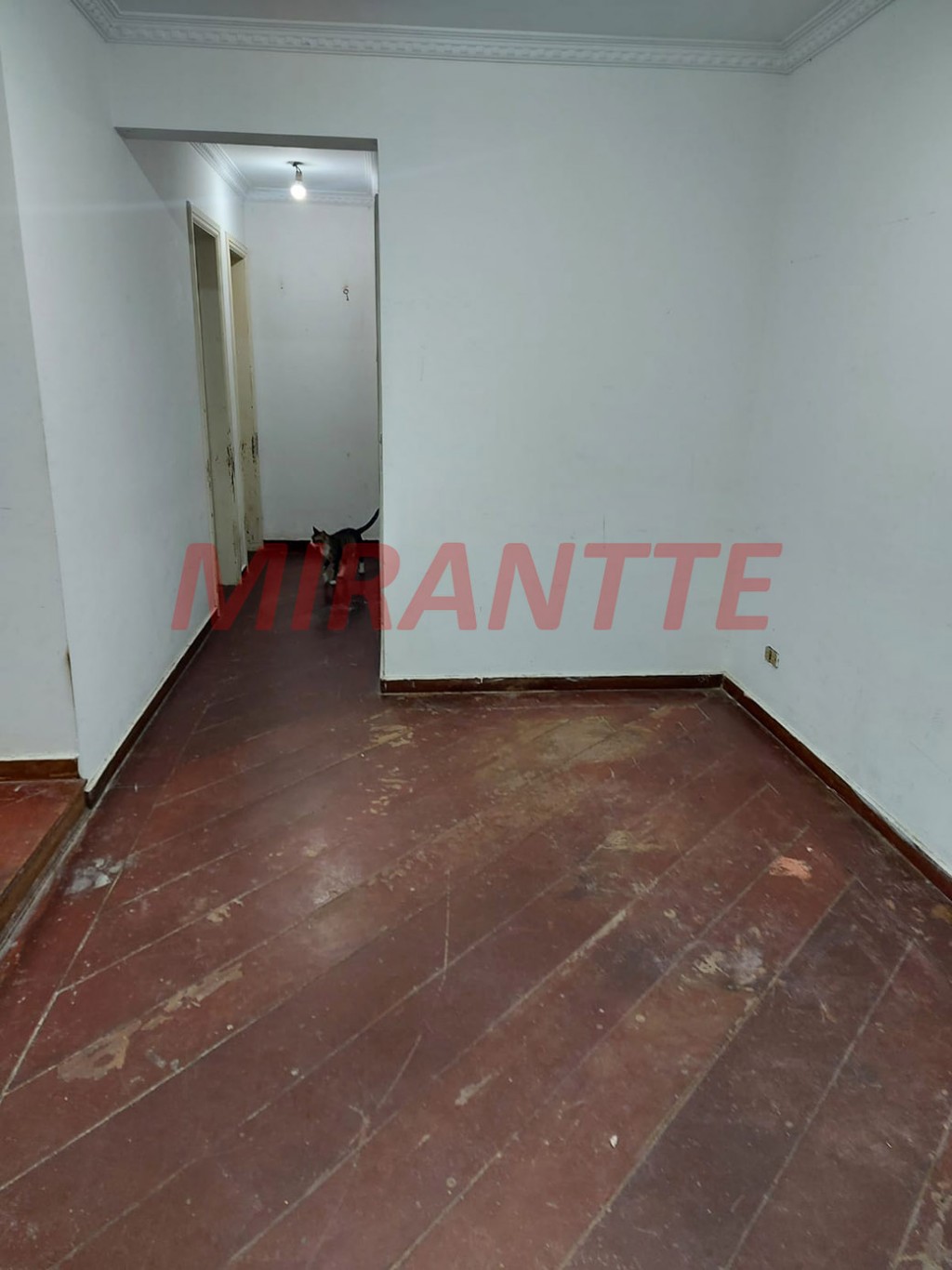 Apartamento de 80m² com 3 quartos em Vila Guilherme