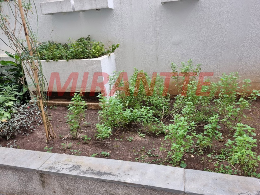 Apartamento de 234m² com 3 quartos em Higienópolis