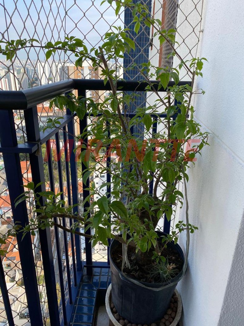 Apartamento de 90m² com 2 quartos em Água Fria