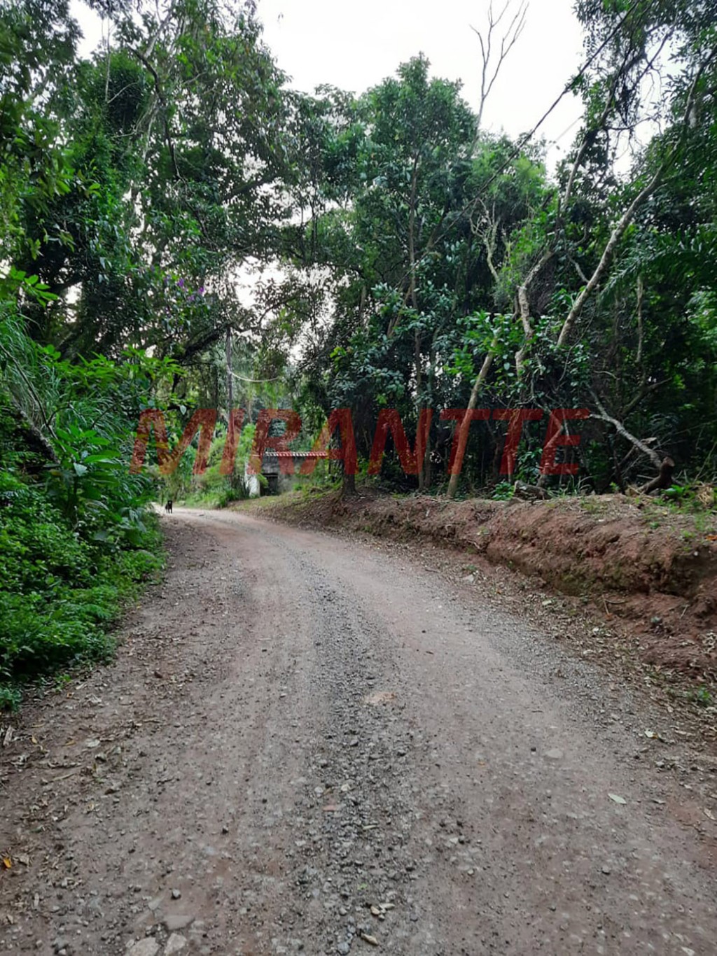 Terreno de 940m² em Serra Da Cantareira