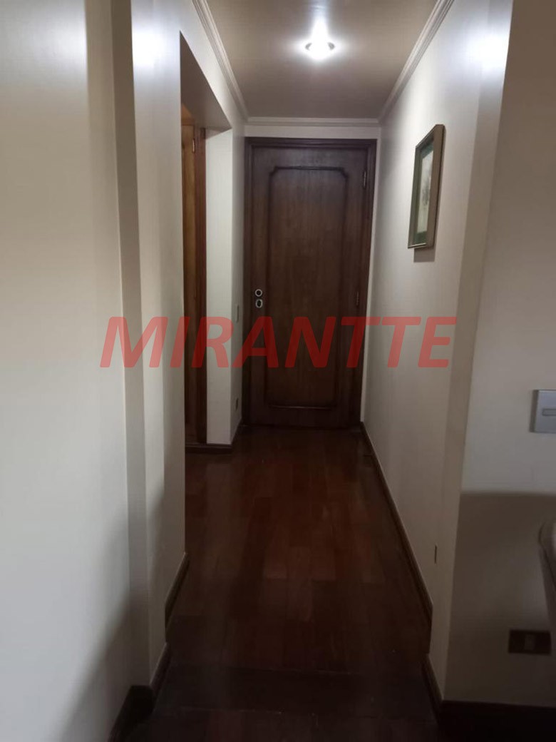 Apartamento de 300m² com 3 quartos em Higienópolis