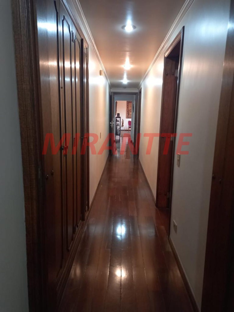 Apartamento de 300m² com 3 quartos em Higienópolis
